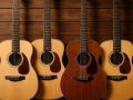 What Is the Easiest Instrument to Learn for Beginners?	